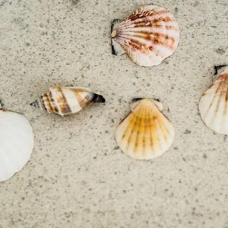 Sanhaus - Ul Haffnera I Okolice - 3-5 Minut Od Plazy I Deptaka * סופוט